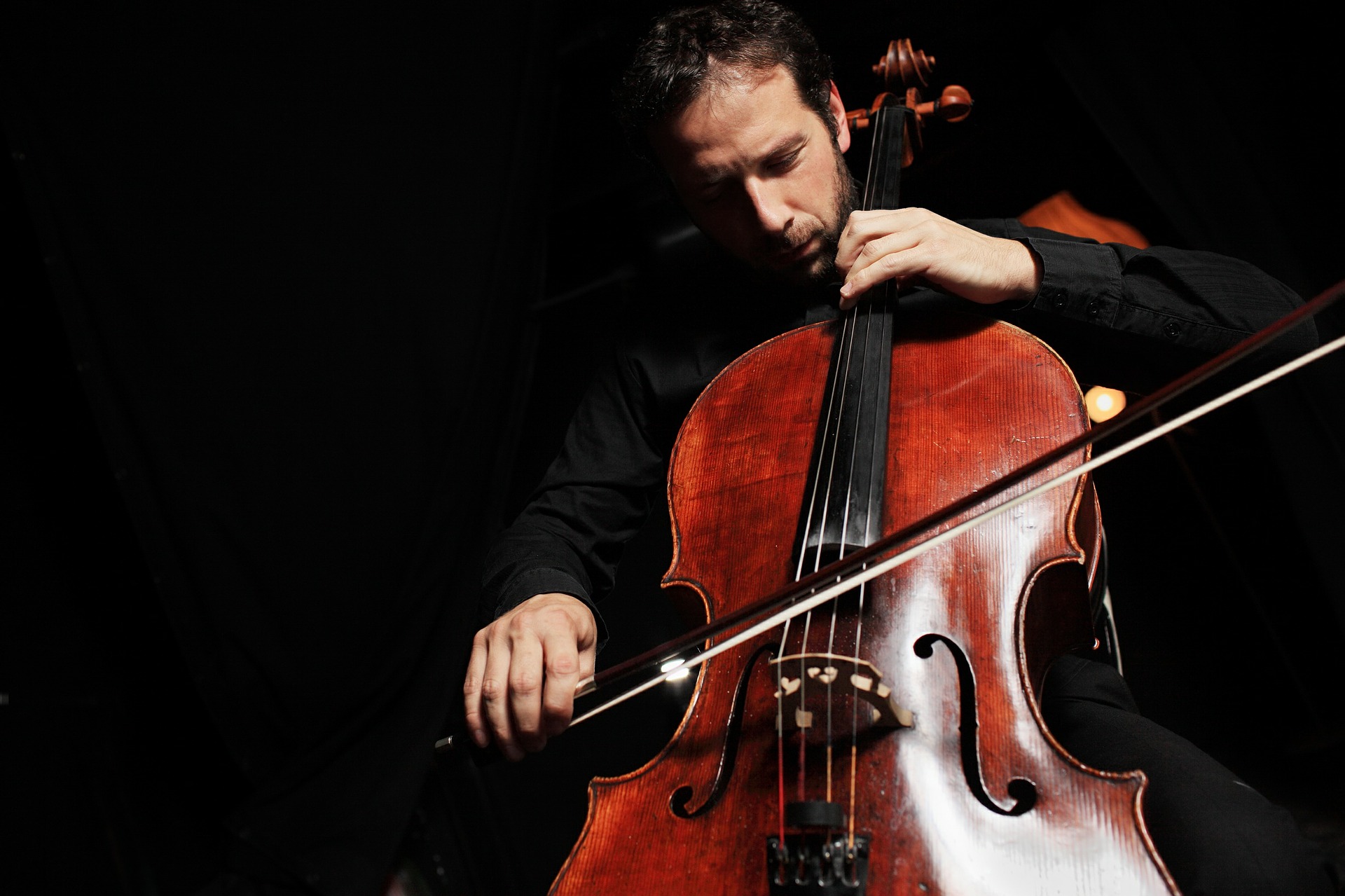 Adult Man Playing the Cello